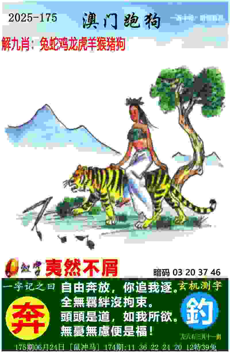 当户外运动事故频发，谁来系牢“安全绳”？